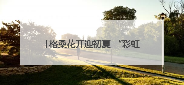 格桑花开迎初夏 “彩虹公路”绘锦绣 德兴以生态之笔绘就宜居幸福图景