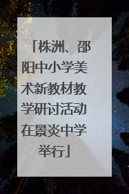 株洲、邵阳中小学美术新教材教学研讨活动在景炎中学举行