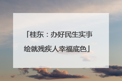 桂东：办好民生实事 绘就残疾人幸福底色