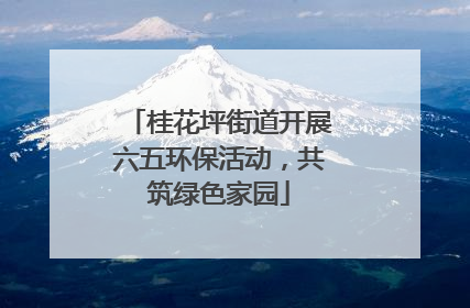 桂花坪街道开展六五环保活动，共筑绿色家园