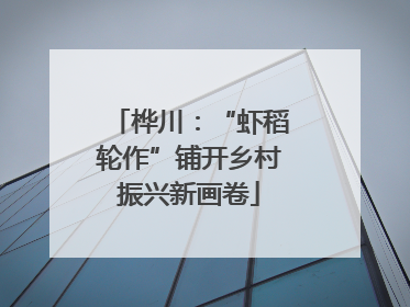 桦川：“虾稻轮作”铺开乡村振兴新画卷
