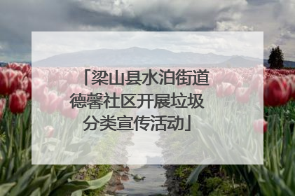 梁山县水泊街道德馨社区开展垃圾分类宣传活动