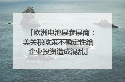 欧洲电池展参展商：美关税政策不确定性给企业投资造成混乱