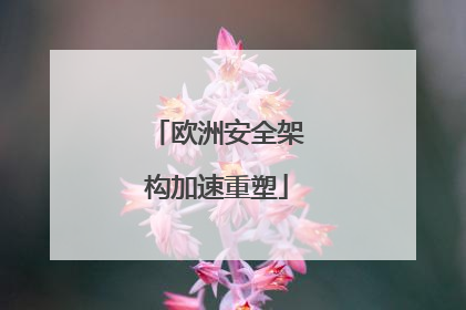 欧洲安全架构加速重塑