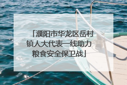 濮阳市华龙区岳村镇人大代表一线助力粮食安全保卫战