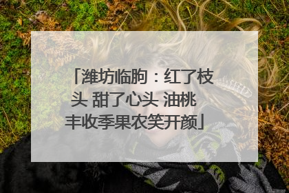 潍坊临朐：红了枝头 甜了心头 油桃丰收季果农笑开颜