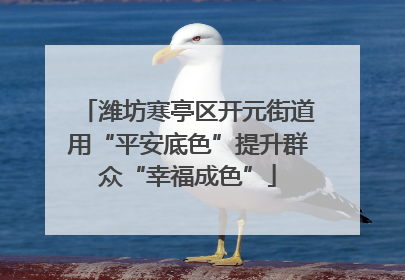 潍坊寒亭区开元街道用“平安底色”提升群众“幸福成色”