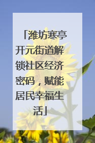 潍坊寒亭开元街道解锁社区经济密码，赋能居民幸福生活
