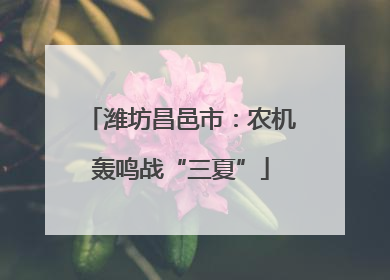 潍坊昌邑市：农机轰鸣战“三夏”
