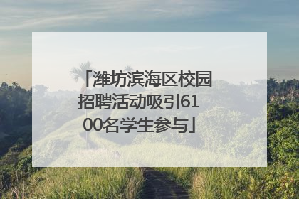 潍坊滨海区校园招聘活动吸引6100名学生参与