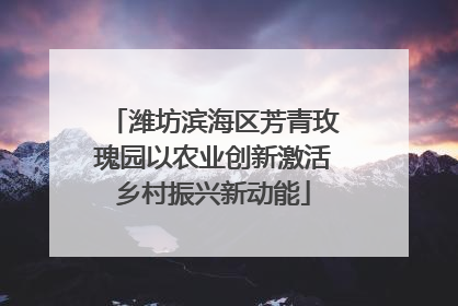 潍坊滨海区芳青玫瑰园以农业创新激活乡村振兴新动能