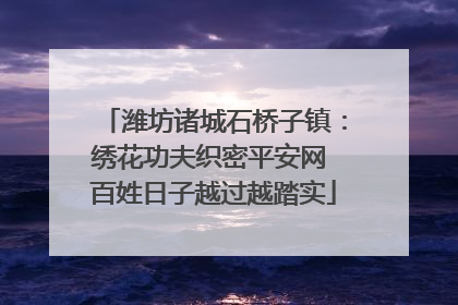 潍坊诸城石桥子镇：绣花功夫织密平安网 百姓日子越过越踏实