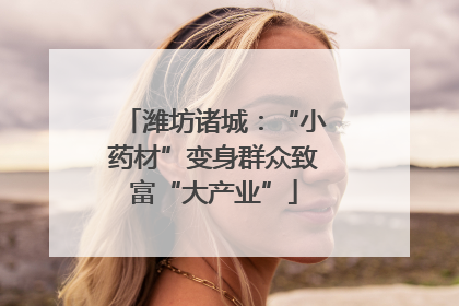 潍坊诸城：“小药材”变身群众致富“大产业”