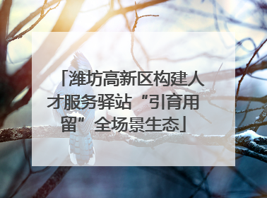 潍坊高新区构建人才服务驿站“引育用留”全场景生态