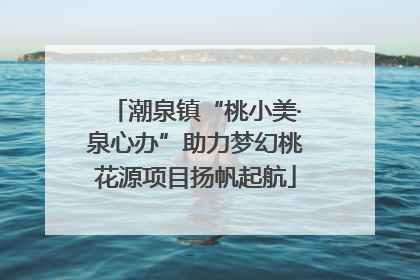 潮泉镇“桃小美·泉心办”助力梦幻桃花源项目扬帆起航