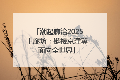 潮起廊洽2025丨廊坊：链接京津冀 面向全世界