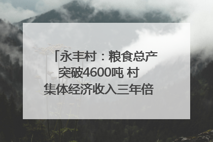永丰村：粮食总产突破4600吨 村集体经济收入三年倍增｜牵挂的村