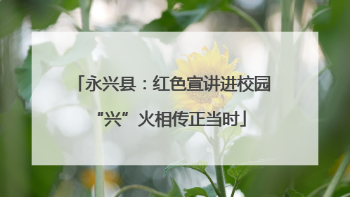 永兴县：红色宣讲进校园 “兴”火相传正当时