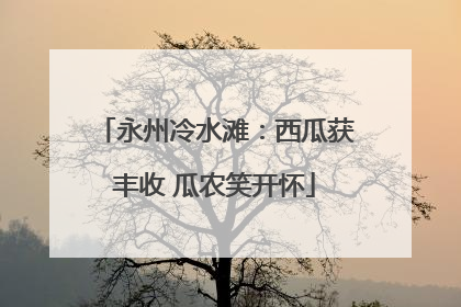 永州冷水滩：西瓜获丰收 瓜农笑开怀