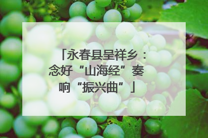 永春县呈祥乡：念好“山海经”奏响“振兴曲”