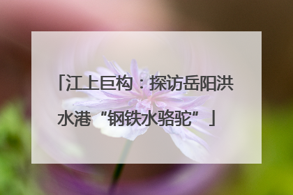 江上巨构：探访岳阳洪水港“钢铁水骆驼”