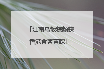 江南乌饭粽频获香港食客青睐