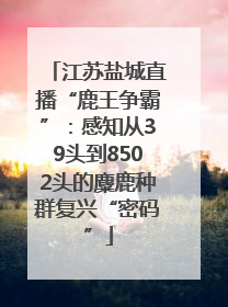 江苏盐城直播“鹿王争霸”：感知从39头到8502头的麋鹿种群复兴“密码”