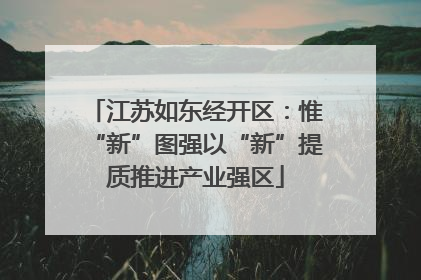 江苏如东经开区：惟“新”图强以“新”提质推进产业强区