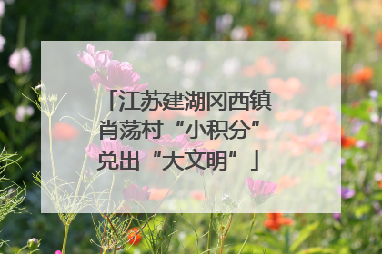 江苏建湖冈西镇肖荡村“小积分”兑出“大文明”