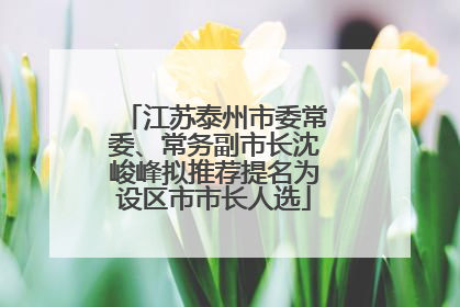 江苏泰州市委常委、常务副市长沈峻峰拟推荐提名为设区市市长人选