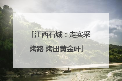 江西石城：走实采烤路 烤出黄金叶
