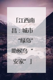江西南昌：城市“绿岛”助候鸟“安家”
