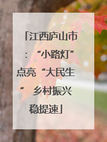江西庐山市：“小路灯”点亮“大民生” 乡村振兴稳提速