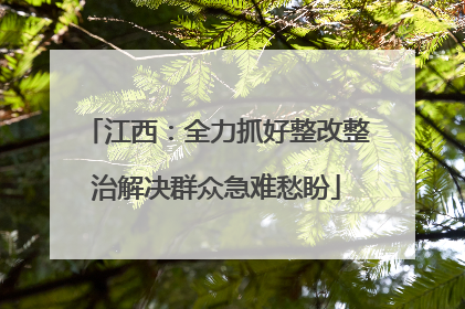 江西：全力抓好整改整治解决群众急难愁盼