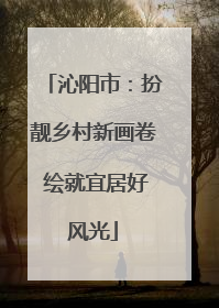 沁阳市：扮靓乡村新画卷 绘就宜居好风光