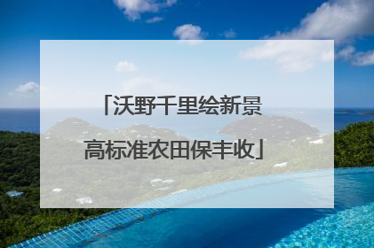 沃野千里绘新景 高标准农田保丰收