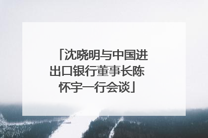 沈晓明与中国进出口银行董事长陈怀宇一行会谈