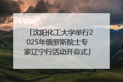 沈阳化工大学举行2025年俄罗斯院士专家辽宁行活动开幕式