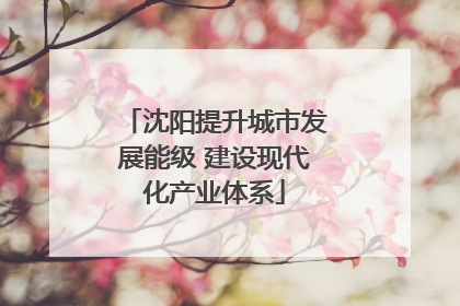 沈阳提升城市发展能级 建设现代化产业体系
