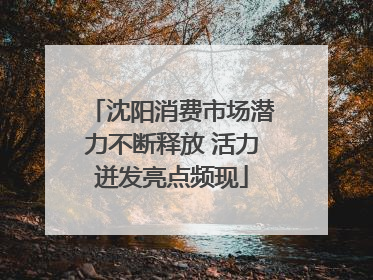 沈阳消费市场潜力不断释放 活力迸发亮点频现
