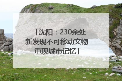 沈阳：230余处新发现不可移动文物重现城市记忆