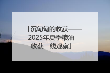 沉甸甸的收获——2025年夏季粮油收获一线观察