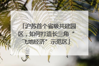 沪苏首个省级共建园区，如何打造长三角“飞地经济”示范区