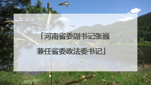 河南省委副书记张巍兼任省委政法委书记