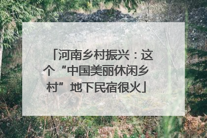 河南乡村振兴：这个“中国美丽休闲乡村”地下民宿很火