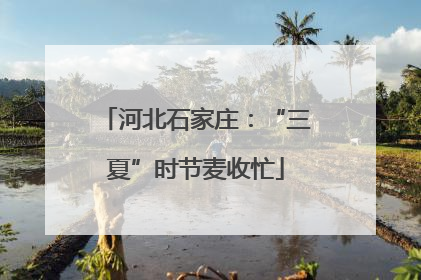 河北石家庄：“三夏”时节麦收忙