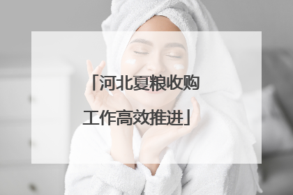 河北夏粮收购工作高效推进