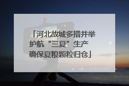 河北故城多措并举护航“三夏”生产 确保夏粮颗粒归仓