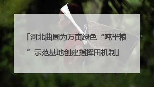 河北曲周为万亩绿色“吨半粮”示范基地创建指挥田机制