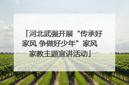 河北武强开展“传承好家风 争做好少年”家风家教主题宣讲活动